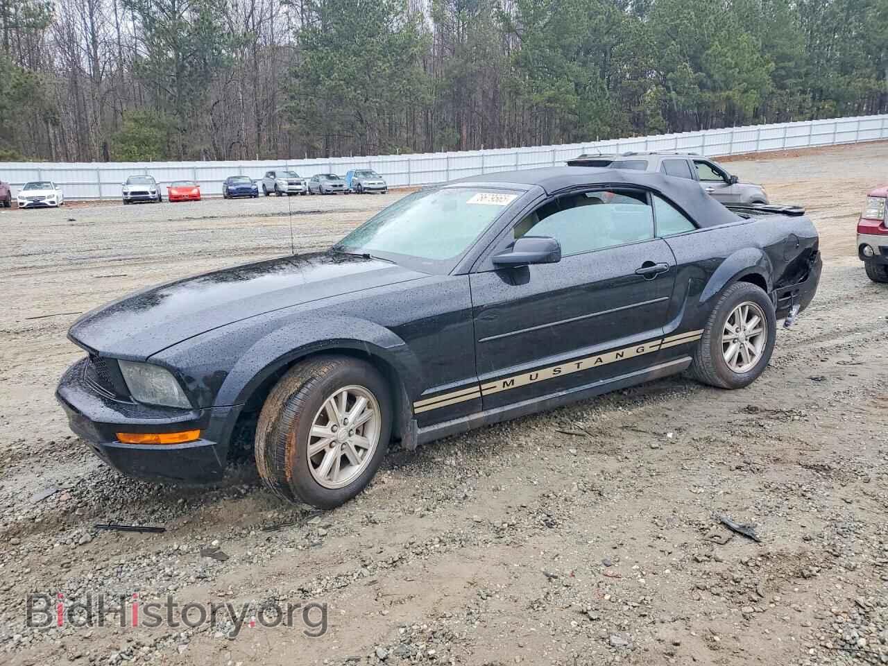 Photo 1ZVHT84N885190284 - FORD ALL Models 2008