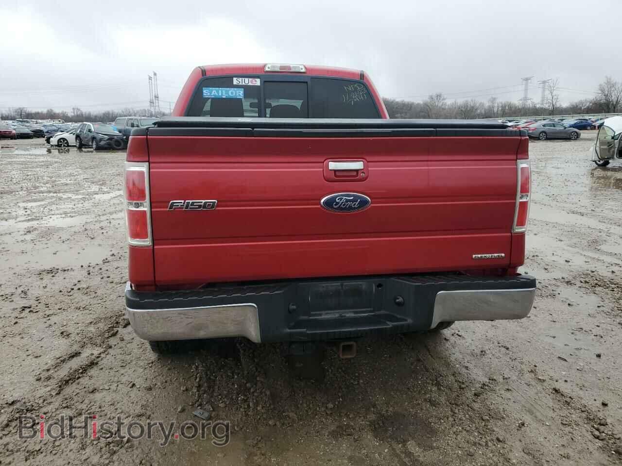 2011 FORD F-150 - VIN: 1FTFW1EF0BFA57441 - Фото 6