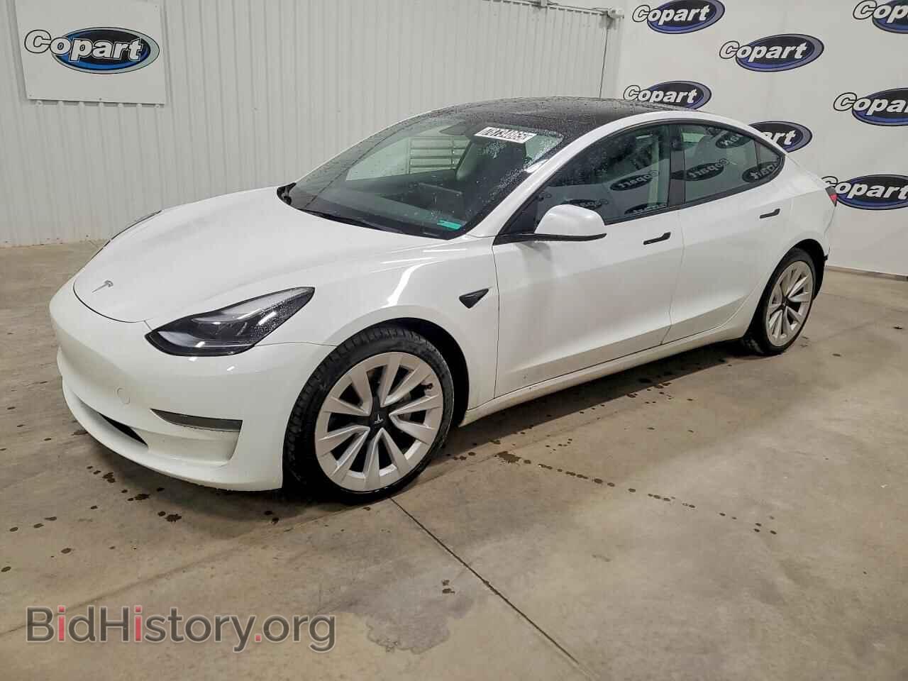 Photo 5YJ3E1EA5PF438451 - TESLA MODEL 3 2023