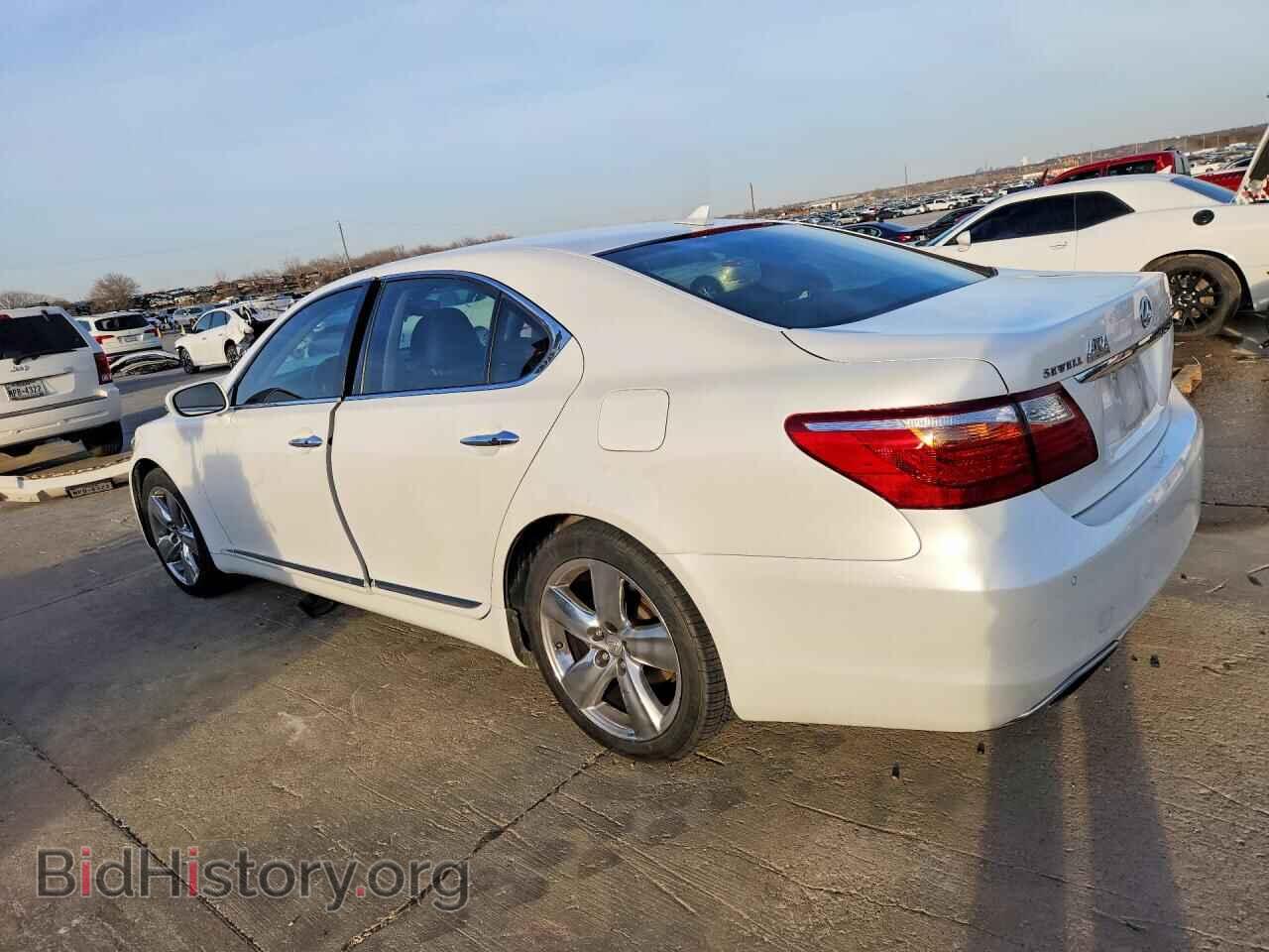 2011 LEXUS LS500 - VIN: JTHBL5EF8B5104833 - Фото 2