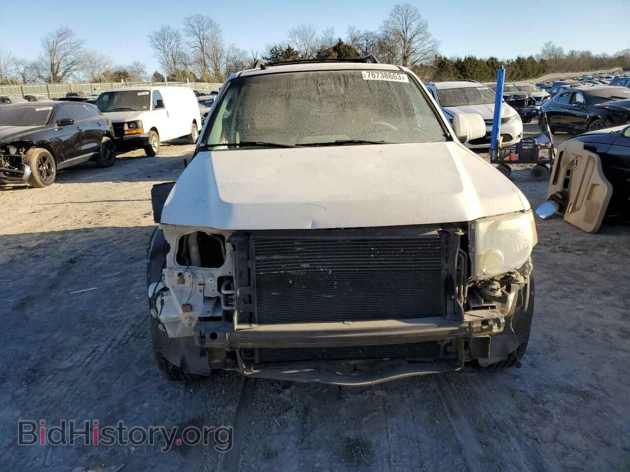 2011 FORD ESCAPE - VIN: 1FMCU0EG1BKB32419 - Фото 5
