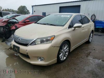 2010 Lexus HS HS 250h, gold — VIN JTHBB1BA7A2003464, Copart