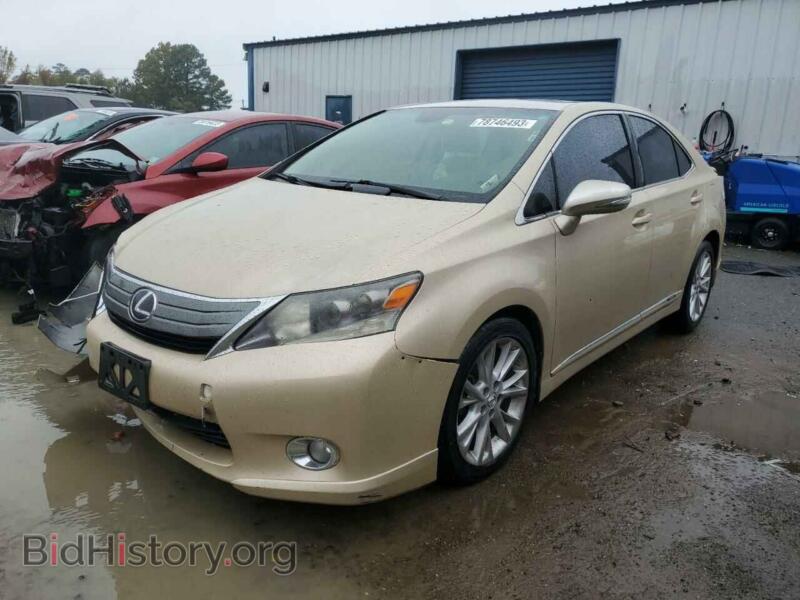 2010 Lexus HS HS 250h (VIN JTHBB1BA7A2003464) — фото 1 из 13, Copart, повреждение: передняя часть