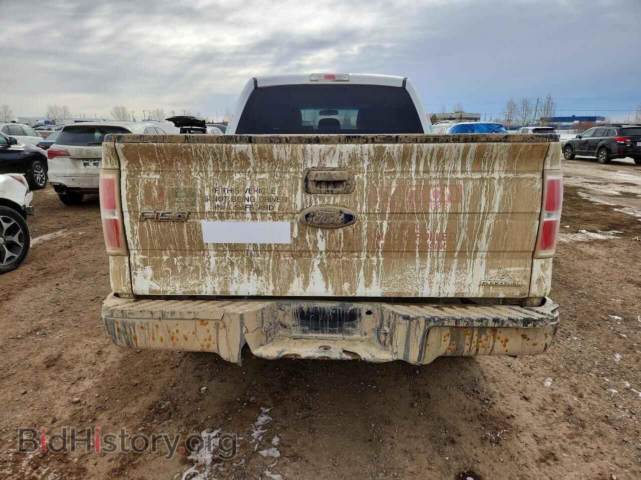 2013 FORD F150 - VIN: 1FTFW1EF2DFA24931 - Фото 6