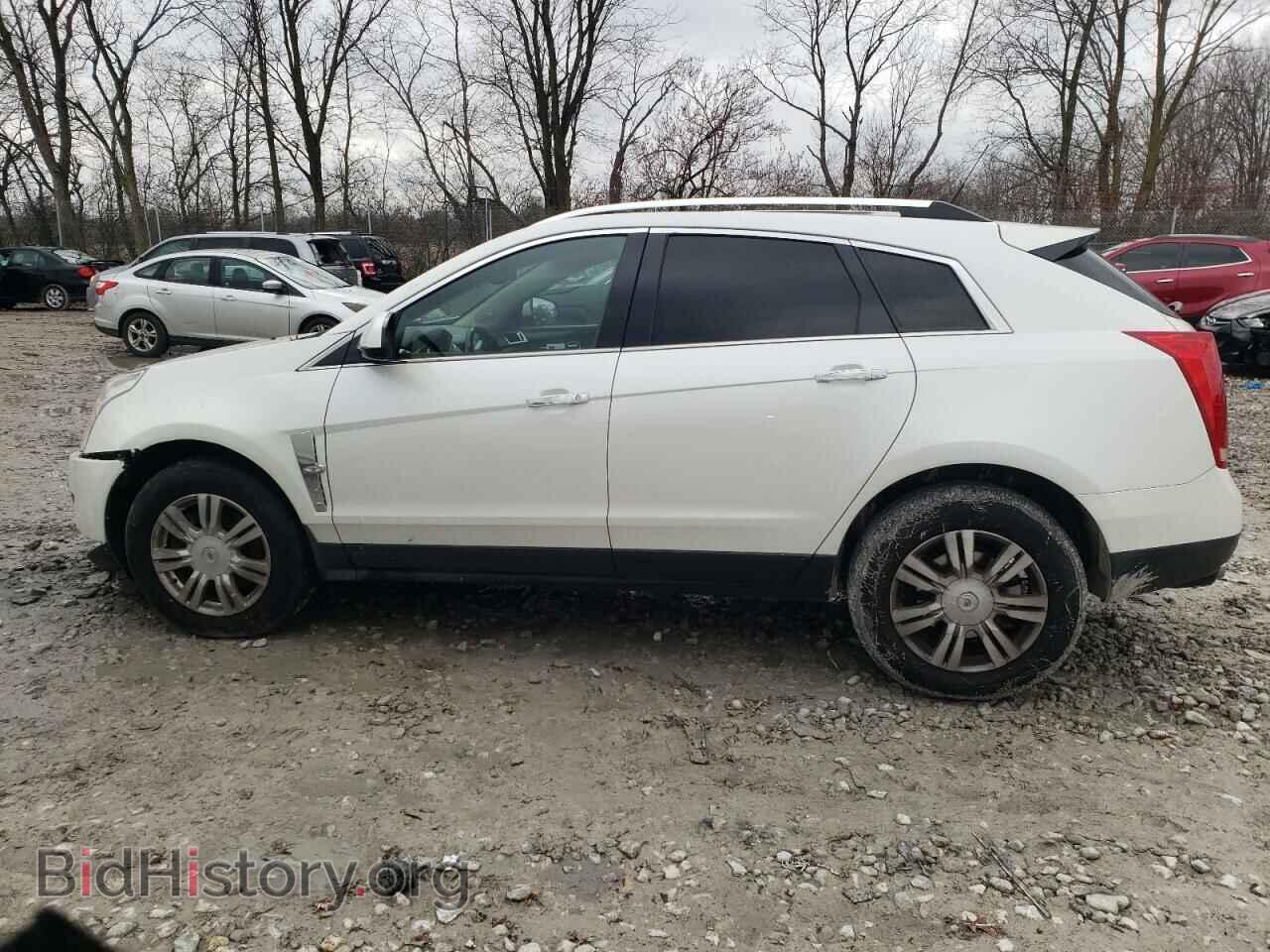 2012 CADILLAC SRX - VIN: 3GYFNAE35CS544862 - Фото 2