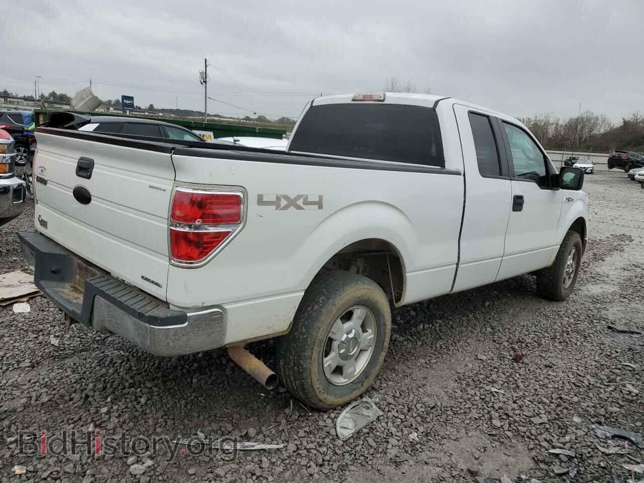 2011 FORD F-150 - VIN: 1FTFX1EF1BFB66049 - Фото 3