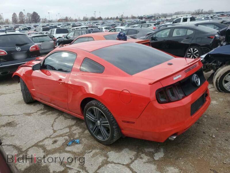 2013 Ford ALL MODELS (VIN 1ZVBP8AM0D5244970) — photo 2 of 13
