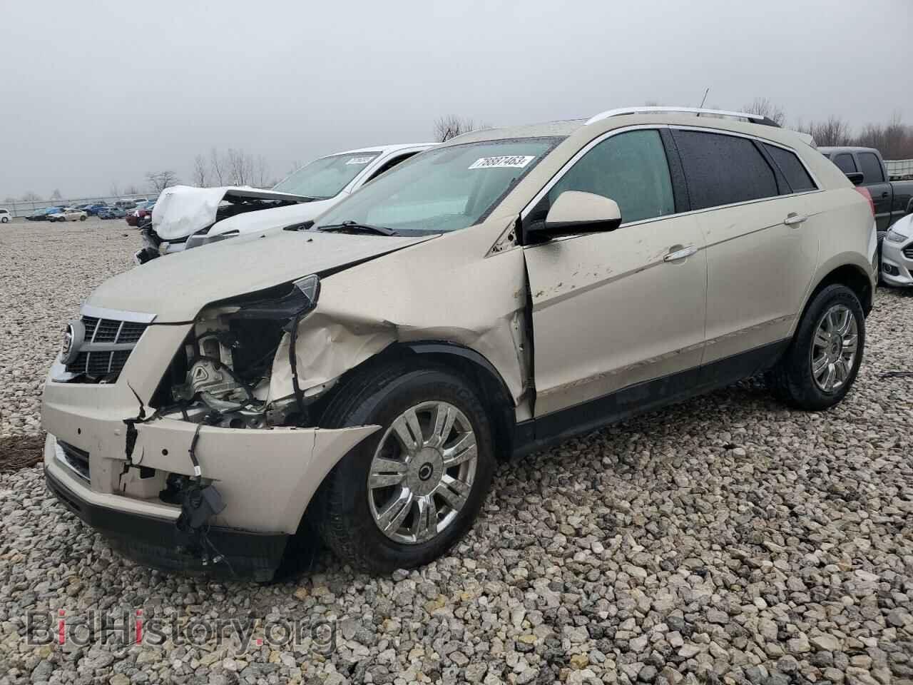 Фотография 3GYFNAEY8BS674791 - CADILLAC SRX 2011