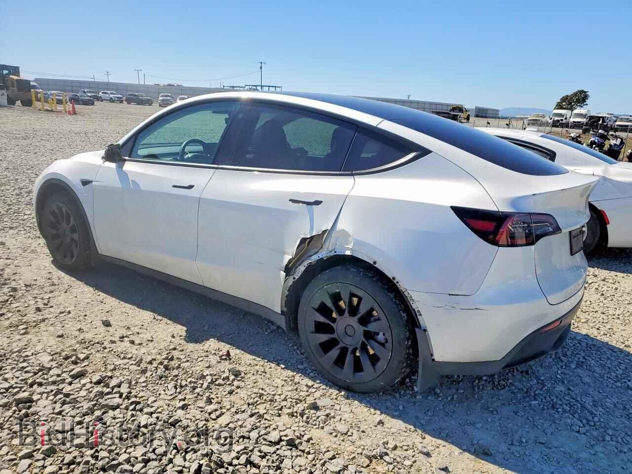 2023 TESLA MODEL Y - VIN: 7SAYGDEE5PF752589 - Фото 2