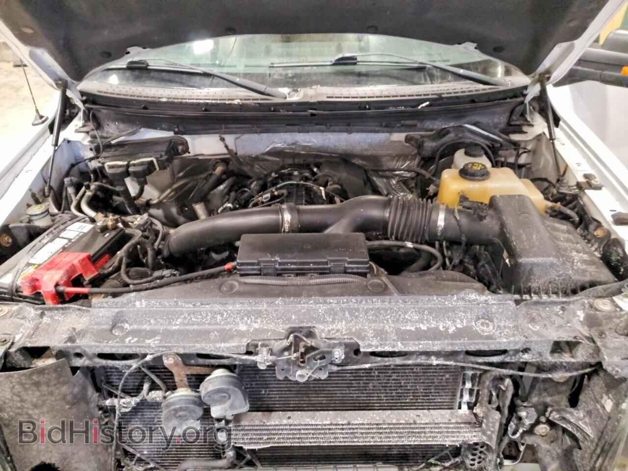2013 FORD F150 - VIN: 1FTFX1ET5DFA23016 - Фото 11