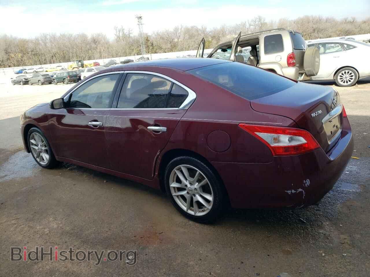 2010 NISSAN MAXIMA - VIN: 1N4AA5AP8AC839331 - Фото 2