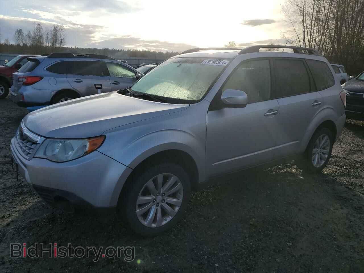 Photo JF2SHADC2BH774834 - SUBARU FORESTER 2011