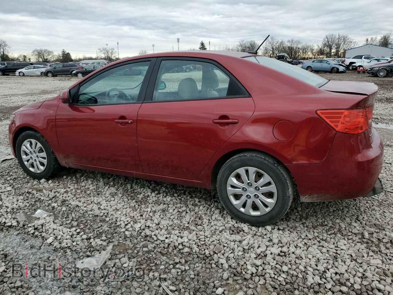 2011 KIA FORTE - VIN: KNAFU4A23B5434227 - Фото 2
