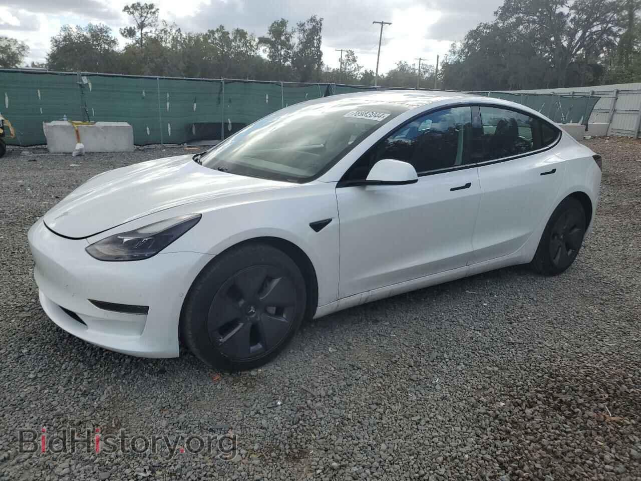 Photo 5YJ3E1EA1MF921205 - TESLA MODEL 3 2021