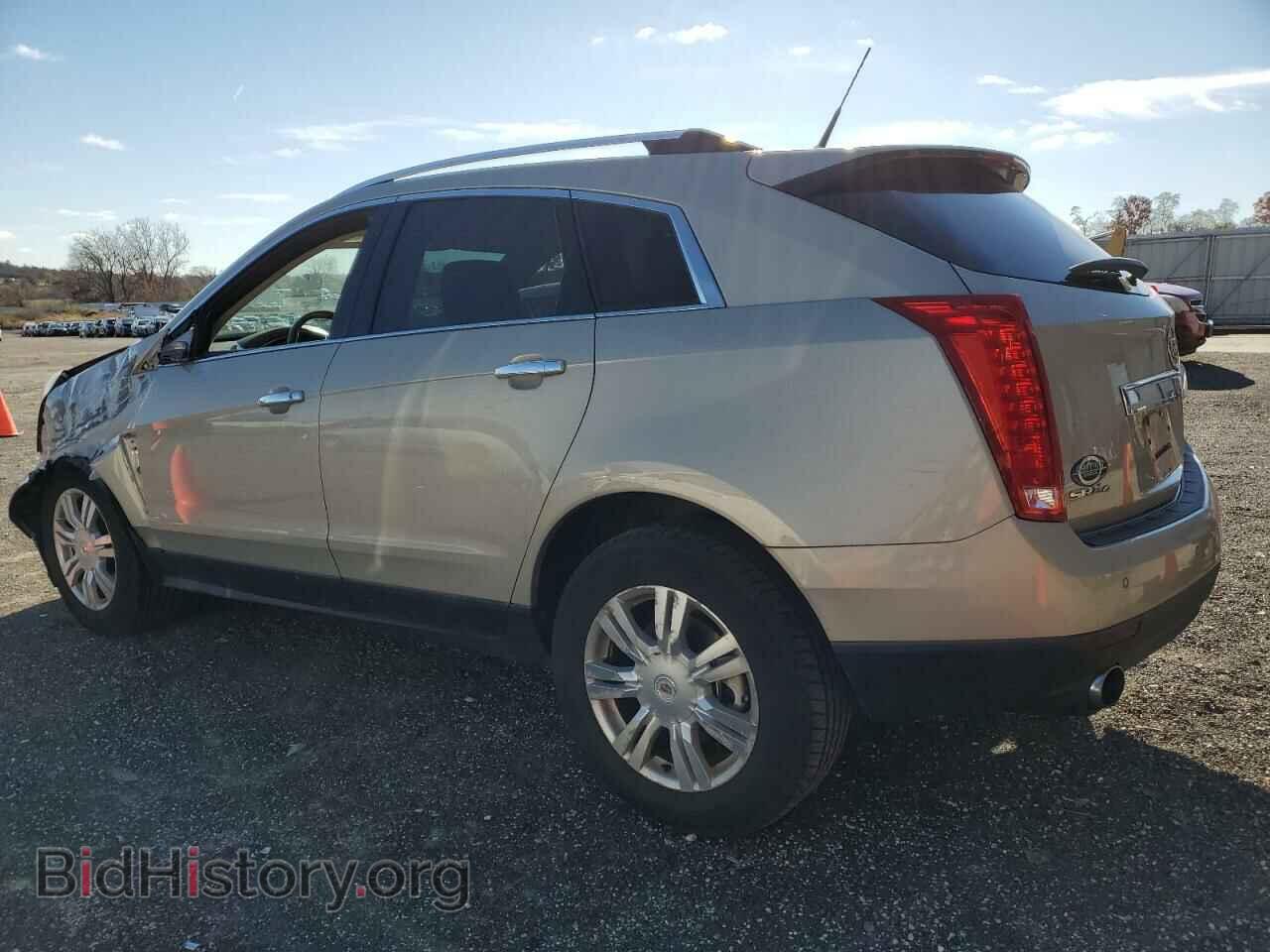 2010 CADILLAC SRX - VIN: 3GYFNDEY2AS515362 - Фото 2