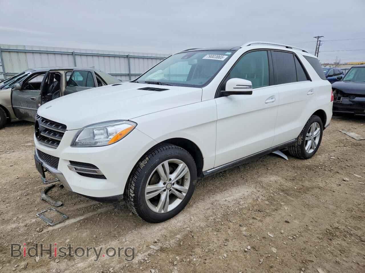 Фотография 4JGDA2EB4EA323596 - MERCEDES-BENZ M-CLASS 2014
