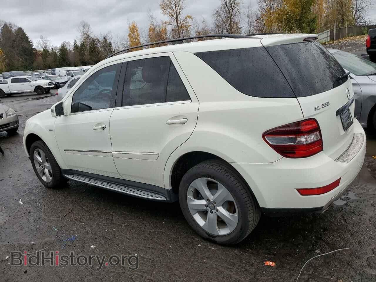 2011 MERCEDES-BENZ M-CLASS - VIN: 4JGBB2FB4BA673082 - Фото 2
