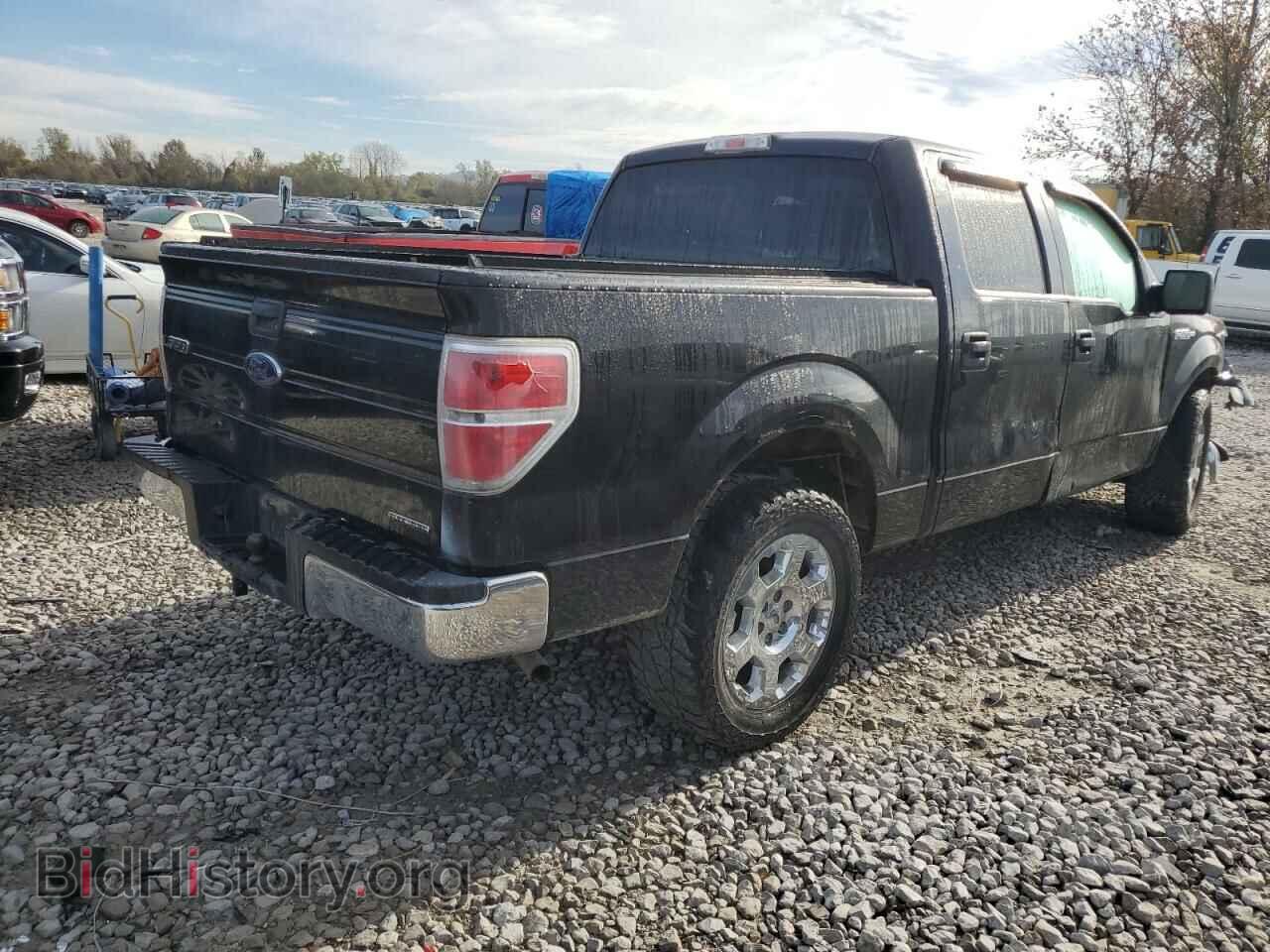 2013 FORD F-150 - VIN: 1FTFW1CF2DFD63174 - Фото 3