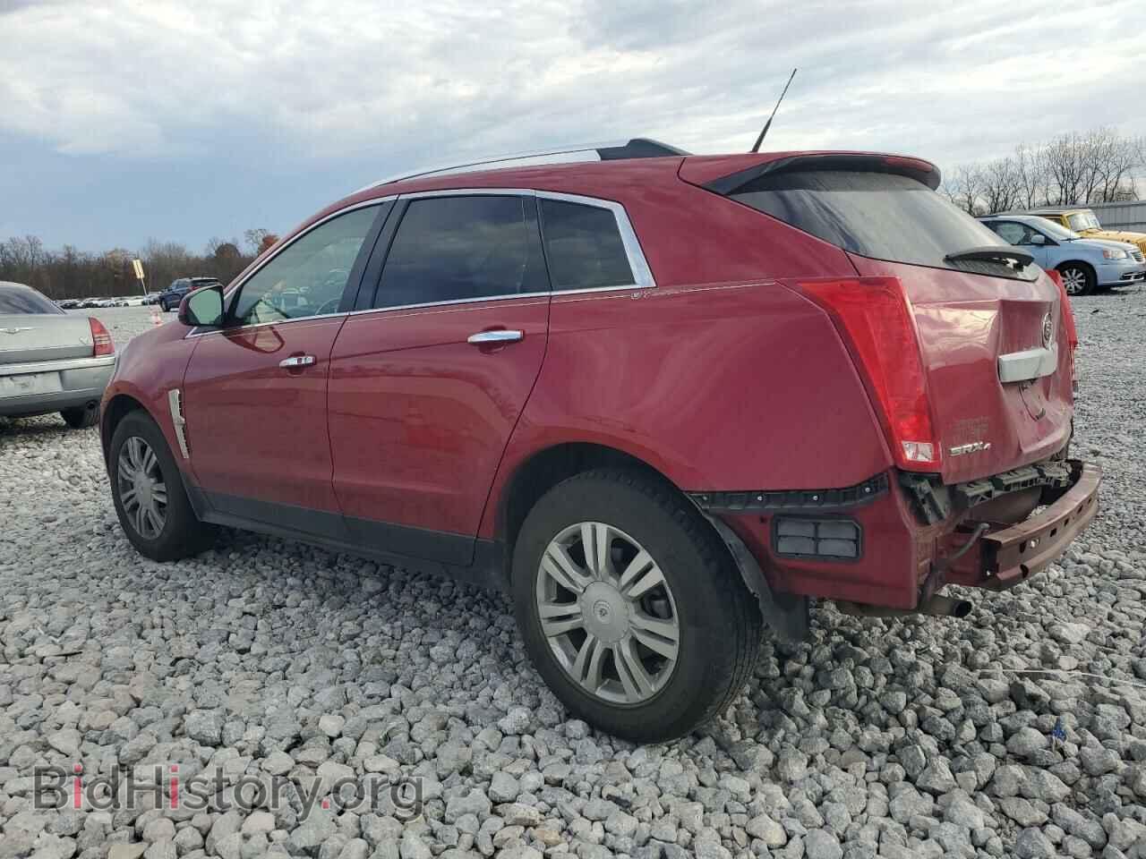 2011 CADILLAC SRX - VIN: 3GYFNDEY4BS545688 - Фото 2