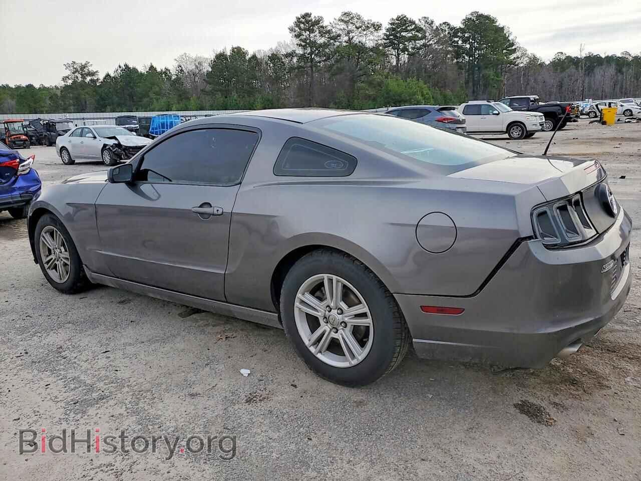 2014 FORD MUSTANG - VIN: 1ZVBP8AM3E5282985 - Фото 2