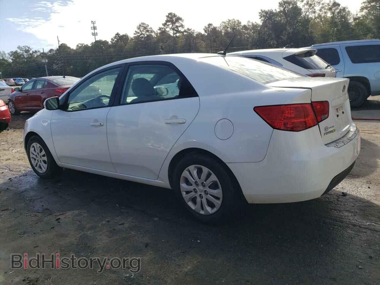 2013 KIA FORTE - VIN: KNAFU4A21D5709533 - Фото 2