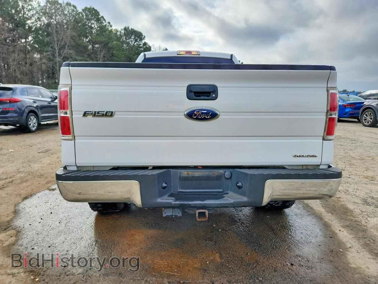 2011 FORD F150 - VIN: 1FTEX1CM8BFA48531 - Фото 6