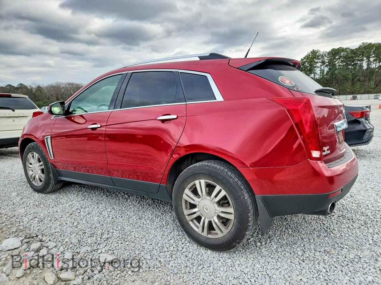 2013 CADILLAC SRX - VIN: 3GYFNCE33DS514532 - Фото 2