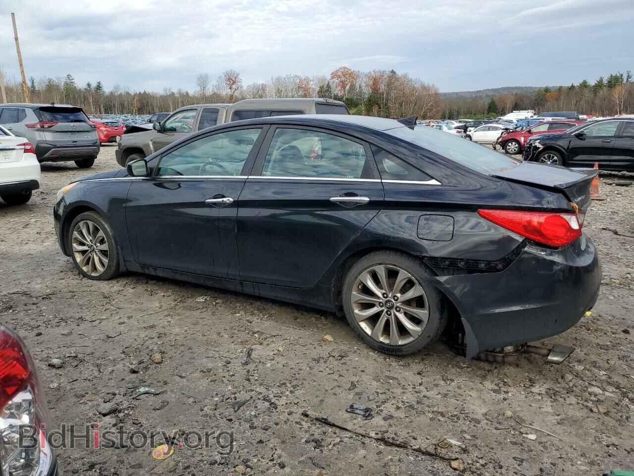 2013 HYUNDAI SONATA - VIN: 5NPEC4AC1DH534775 - Фото 2