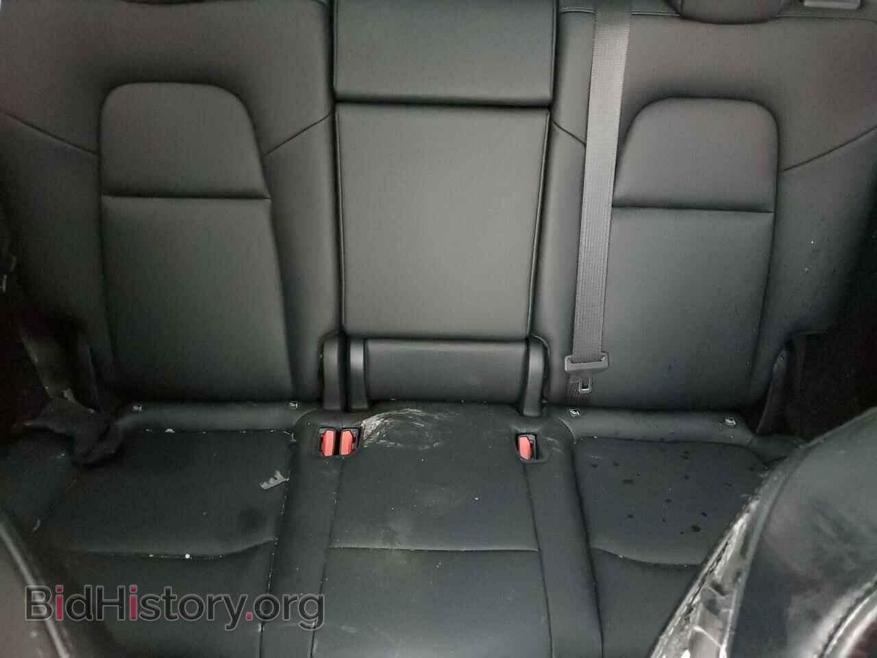 2023 TESLA MODEL Y - VIN: 7SAYGDEE0PF793857 - Фото 10