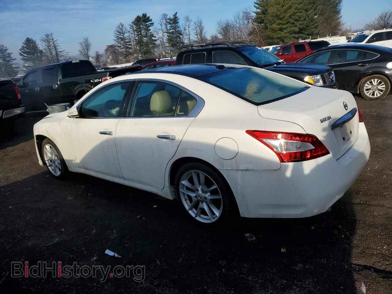 2010 NISSAN MAXIMA - VIN: 1N4AA5AP9AC866621 - Фото 2