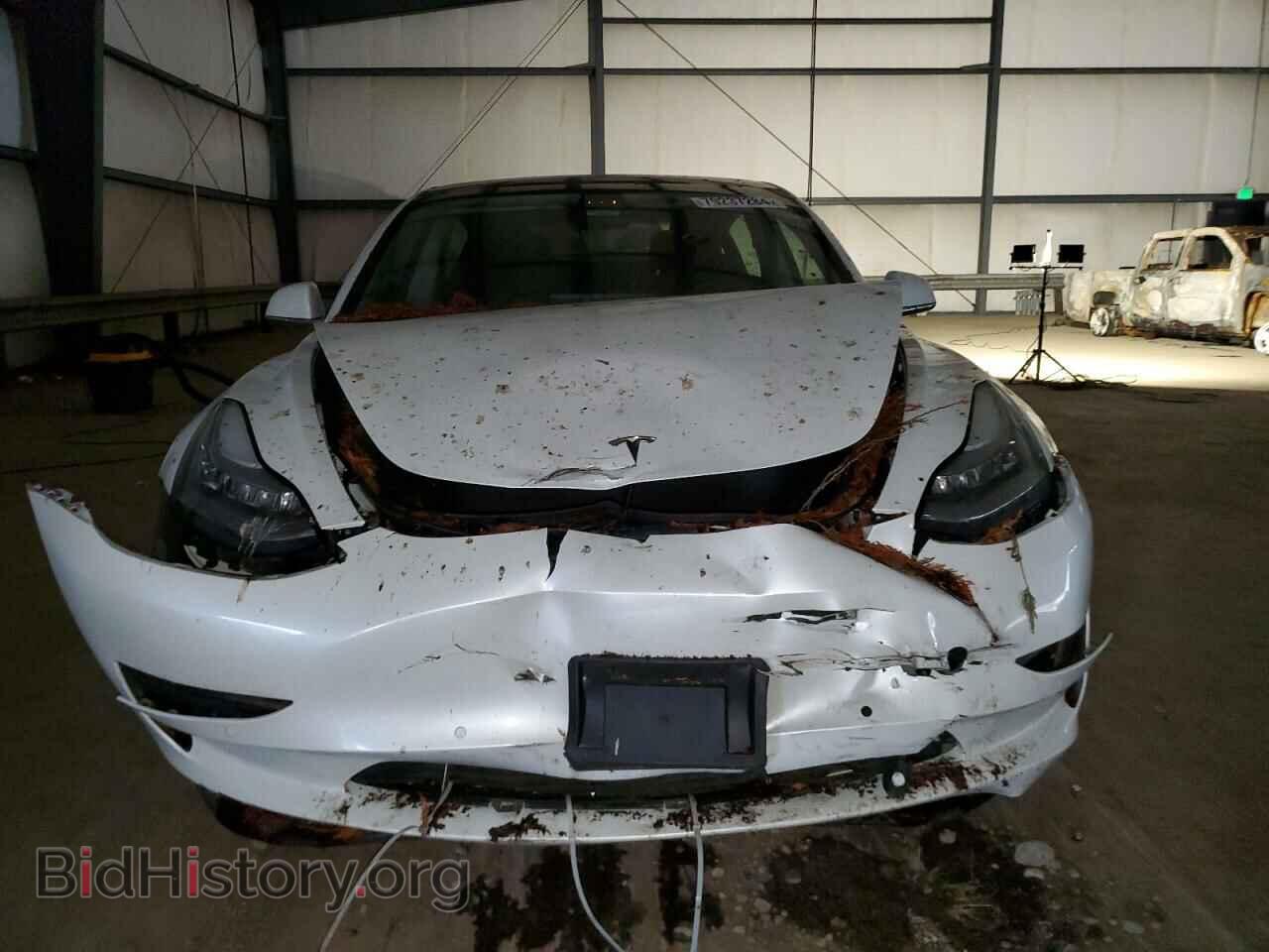 2019 TESLA MODEL 3 - VIN: 5YJ3E1EA1KF329137 - Фото 5