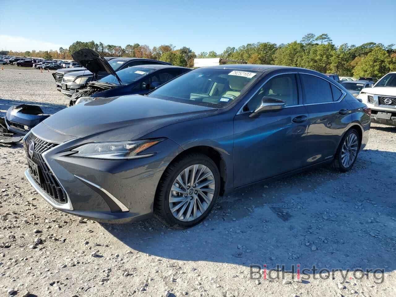 Photo 58AFA1C10NU015250 - LEXUS ES300 2022