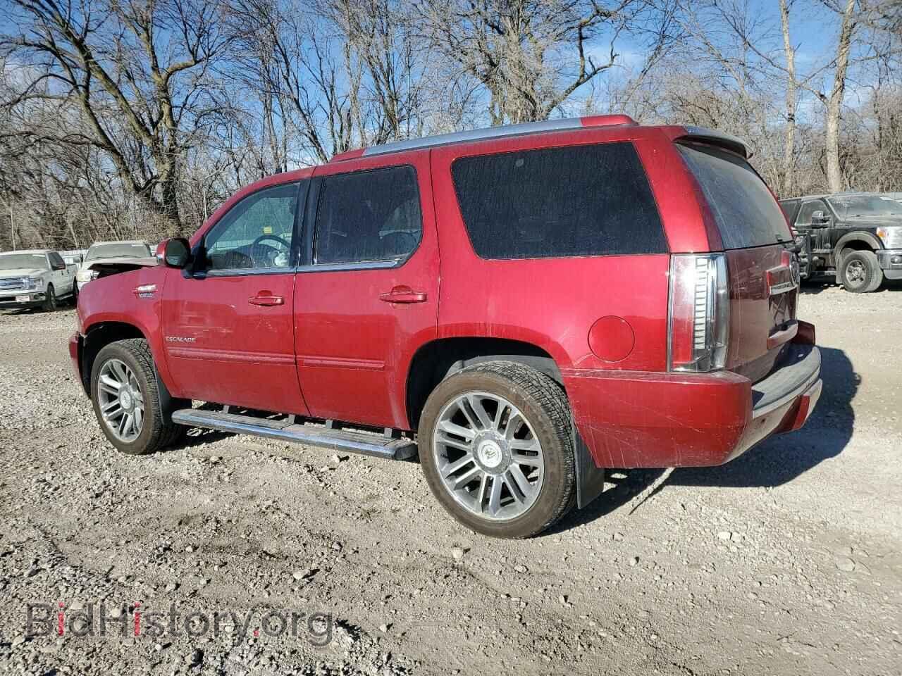 2013 CADILLAC ESCALADE - VIN: 1GYS4CEF6DR324769 - Фото 2