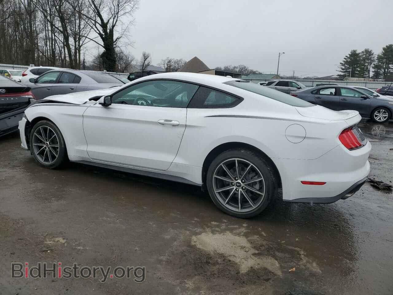 2019 FORD ALL Models - VIN: 1FA6P8TH8K5198957 - Фото 2