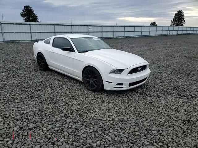 2013 FORD MUSTANG - VIN: 1ZVBP8AM0D5239087 - Фото 13