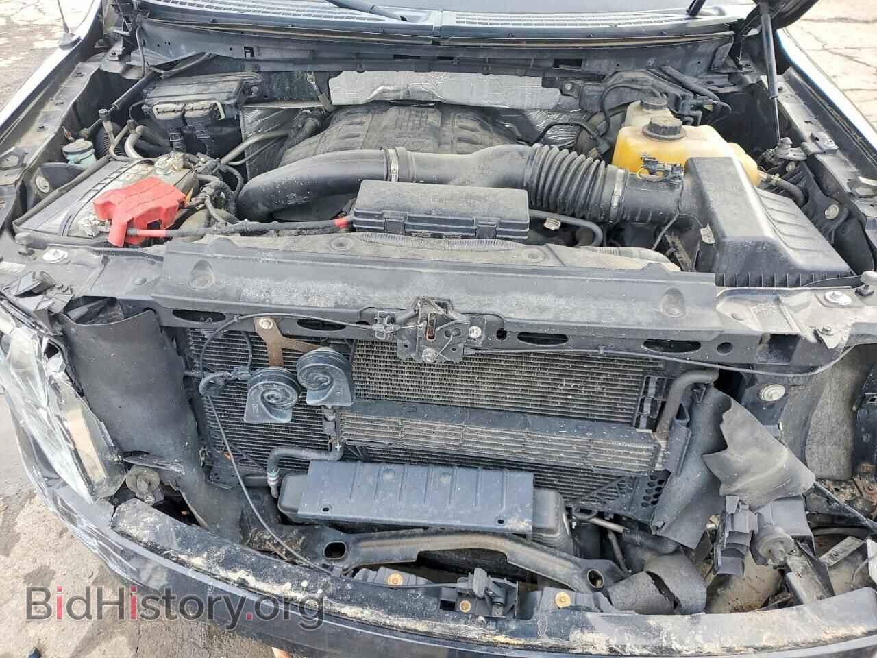 2013 FORD F150 - VIN: 1FTFW1ET9DFD05307 - Фото 11