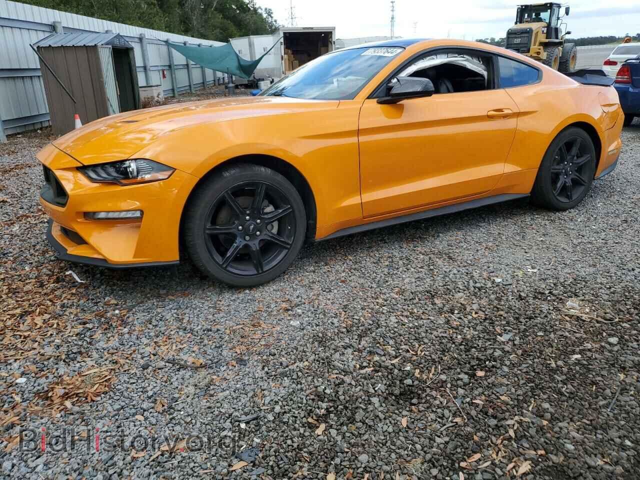 Фотография 1FA6P8TH7K5141245 - FORD ALL Models 2019