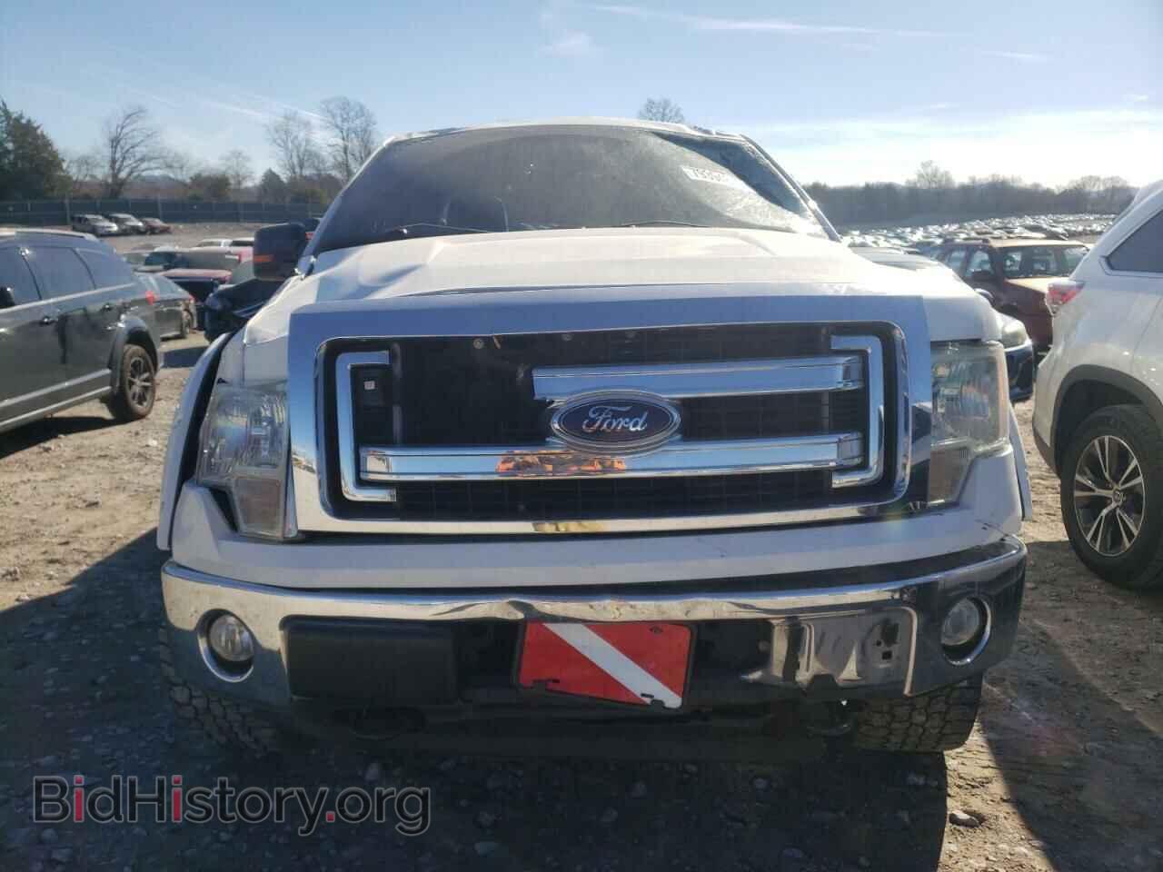 2013 FORD F-150 - VIN: 1FTFW1EF9DFD83306 - Фото 5