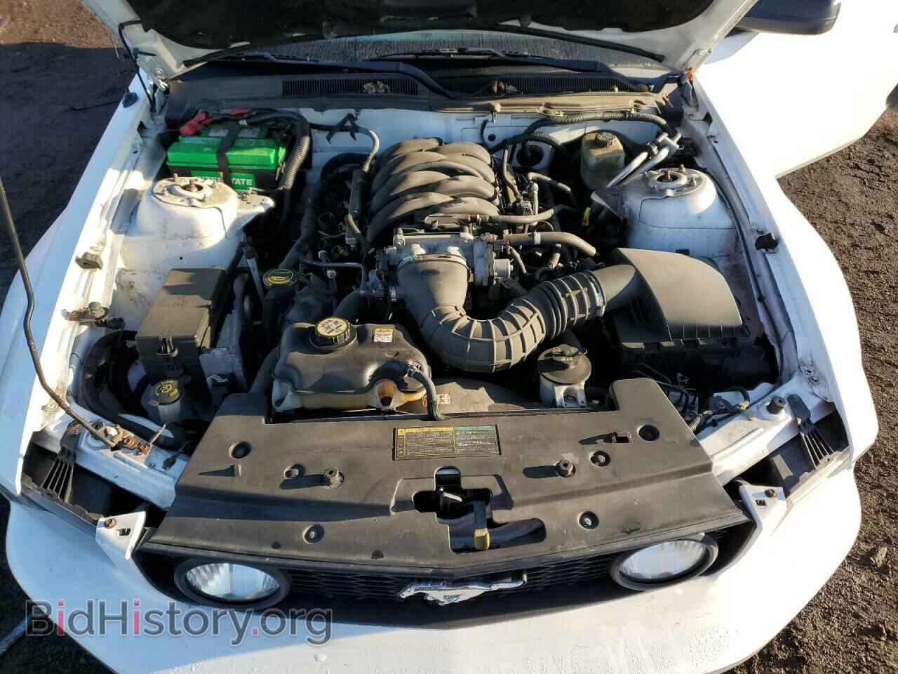 2006 FORD MUSTANG - VIN: 1ZVFT85H065114135 - Фото 11