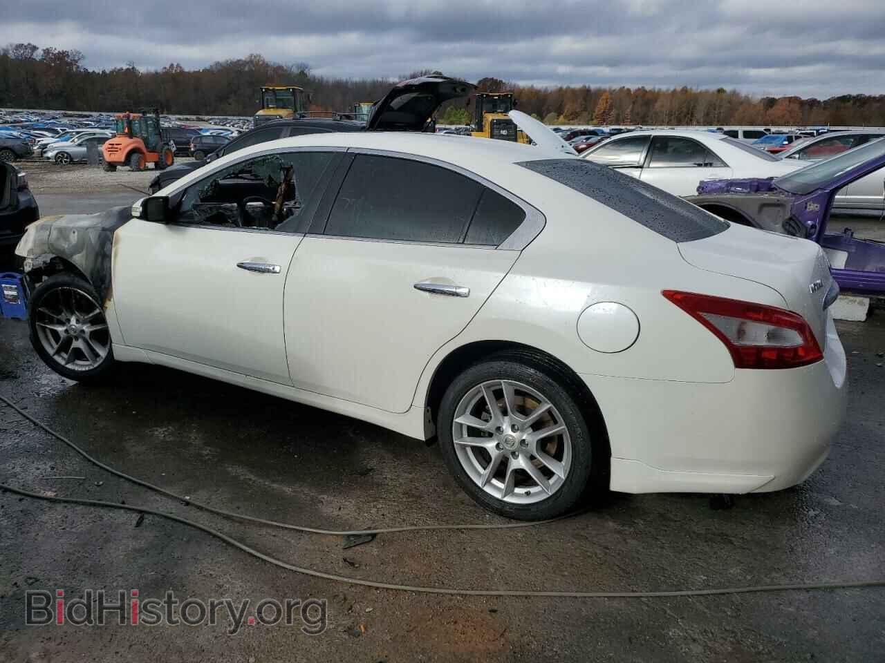2009 NISSAN MAXIMA - VIN: 1N4AA51E19C823806 - Фото 2