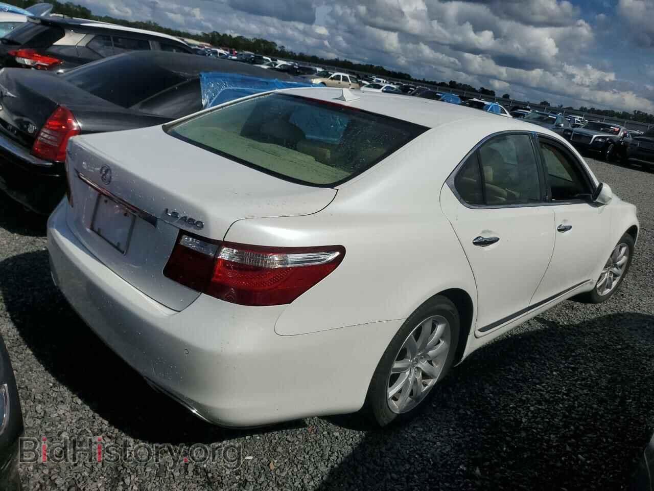 2009 LEXUS LS460 - VIN: JTHBL46FX95088332 - Фото 3