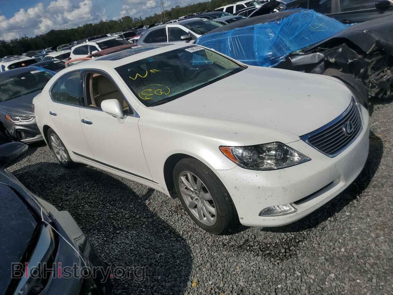 2009 LEXUS LS460 - VIN: JTHBL46FX95088332 - Фото 4