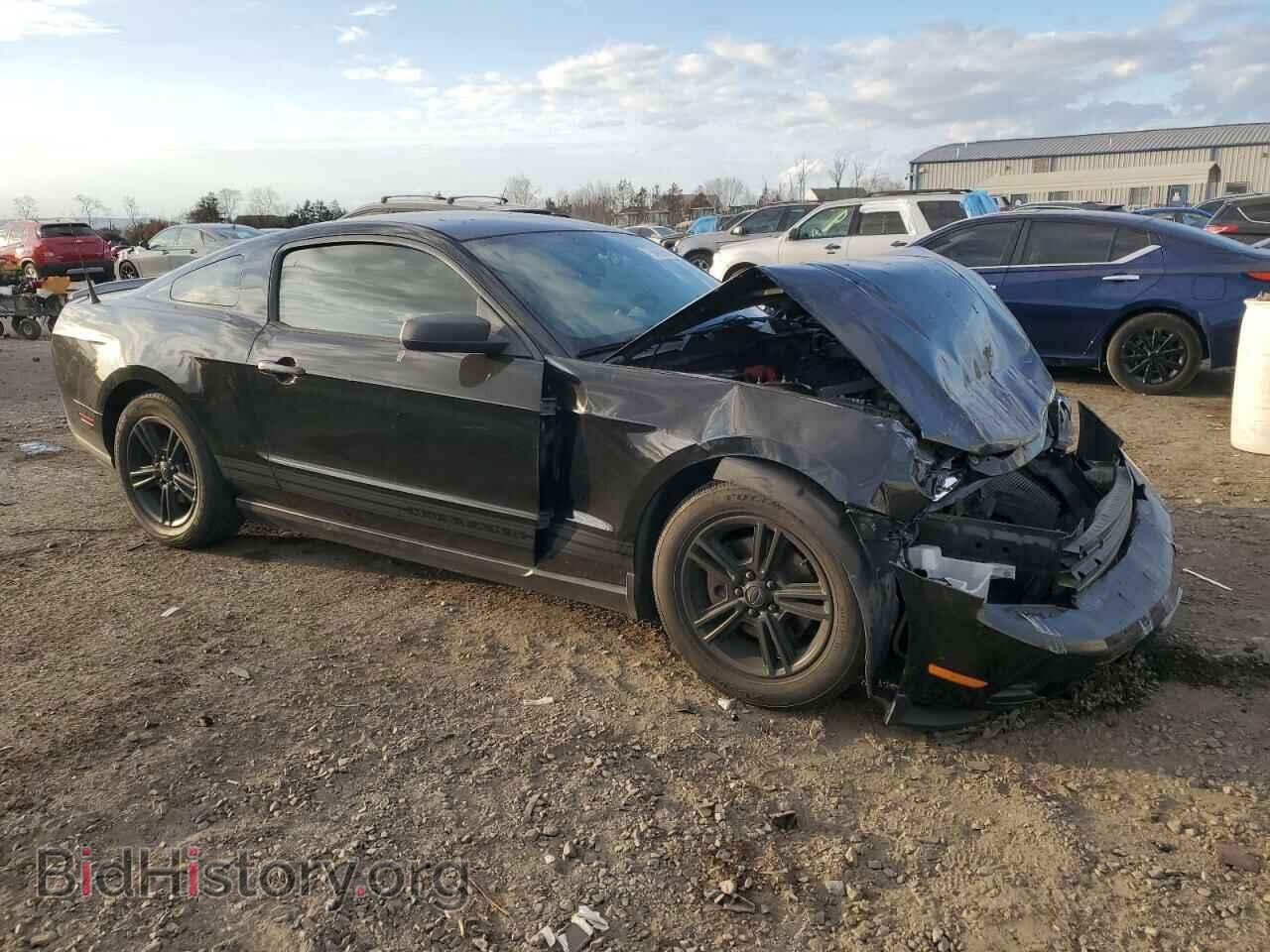 2011 FORD ALL Models - VIN: 1ZVBP8AM1B5124558 - Фото 4