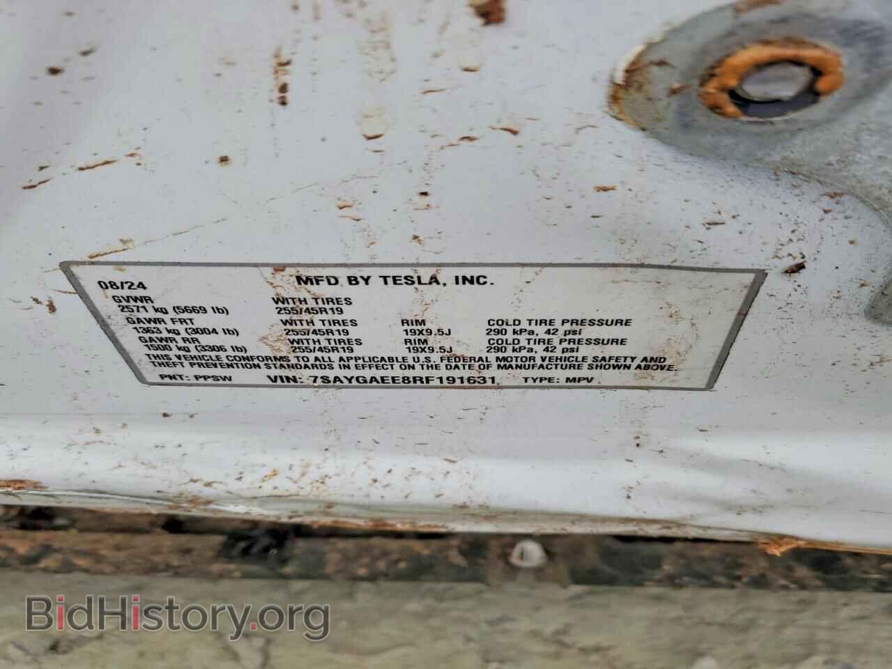 2024 TESLA MODEL Y - VIN: 7SAYGAEE8RF191631 - Фото 12