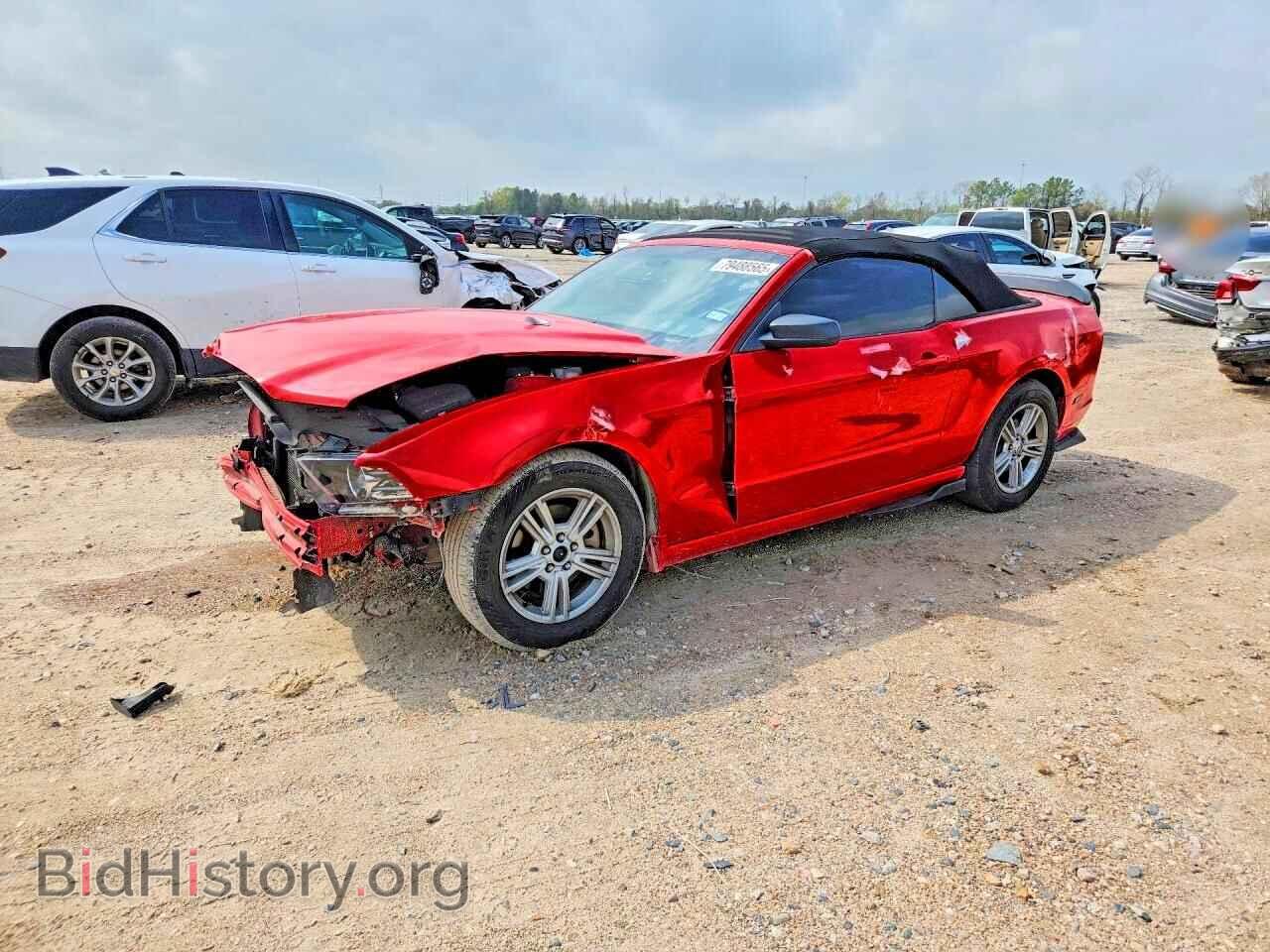 Фотография 1ZVBP8EM0D5203894 - FORD MUSTANG 2013