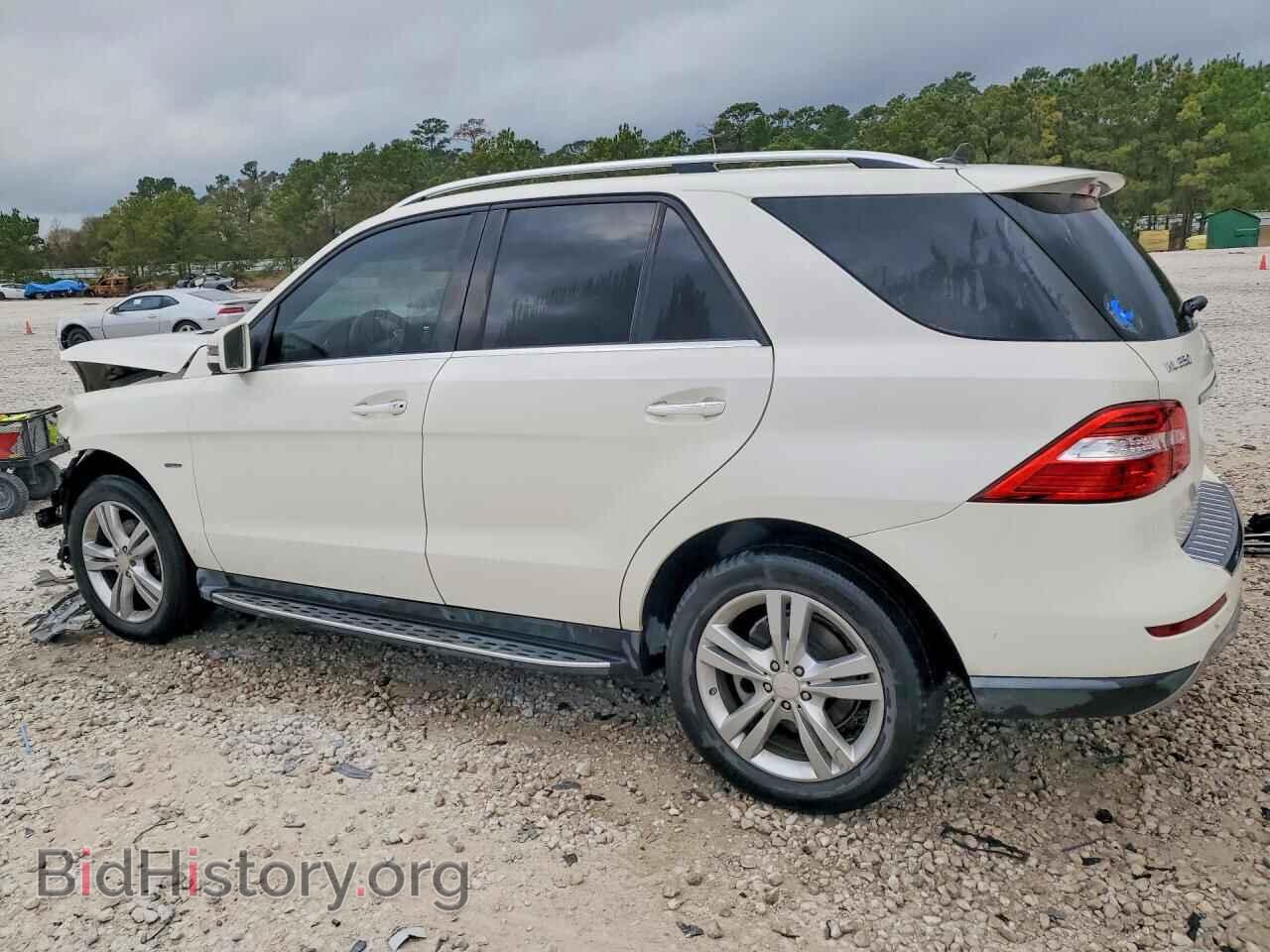 2012 MERCEDES-BENZ M-CLASS - VIN: 4JGDA5HB8CA011596 - Фото 2