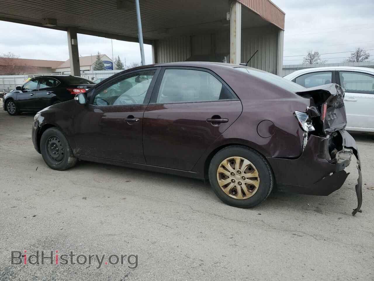2010 KIA FORTE - VIN: KNAFU4A20A5867292 - Фото 2