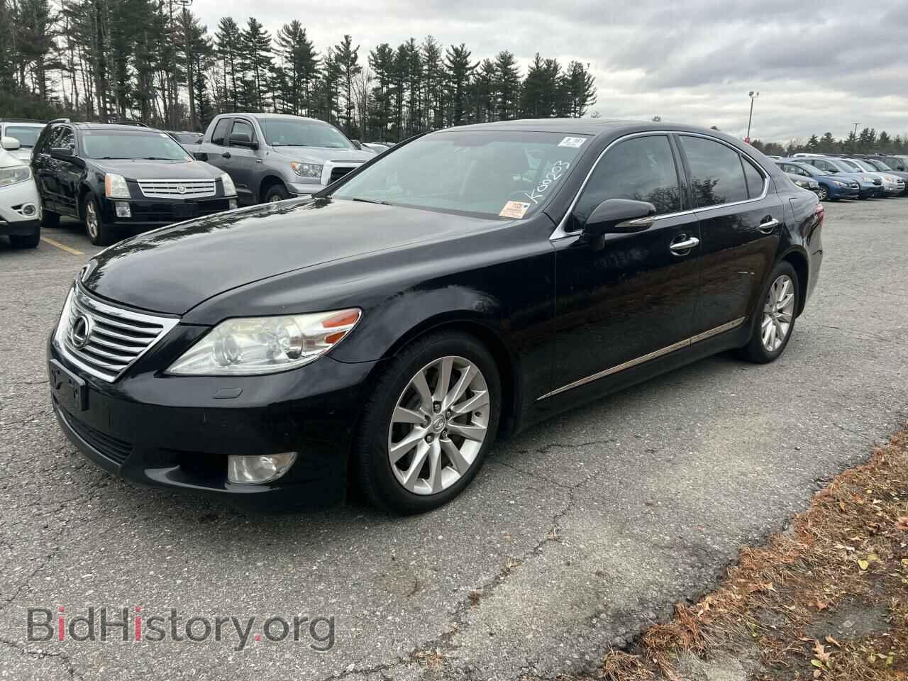 2011 LEXUS LS460 - VIN: JTHCL5EF2B5009463 - Фото 2