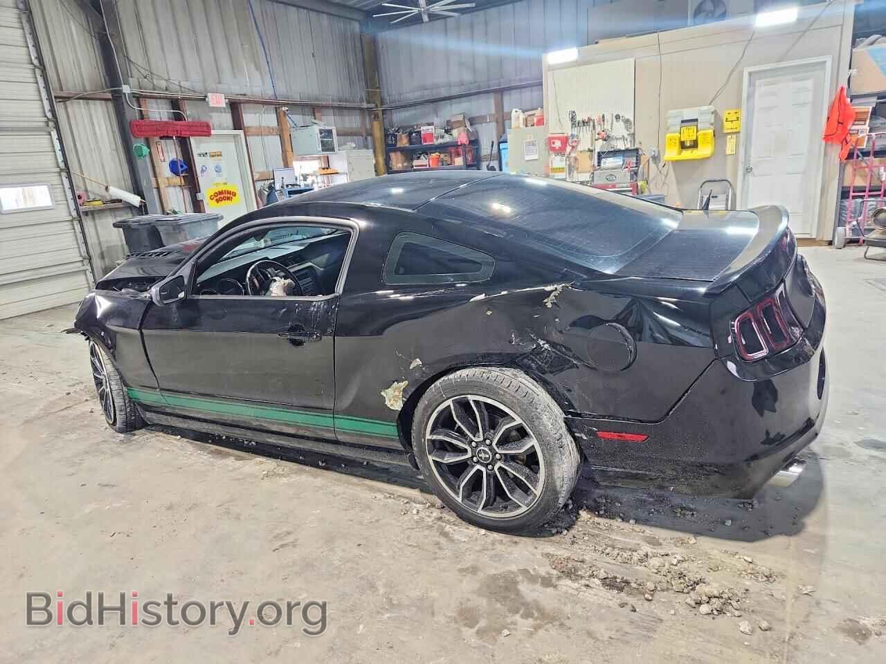 2013 FORD MUSTANG - VIN: 1ZVBP8AM5D5206344 - Фото 2