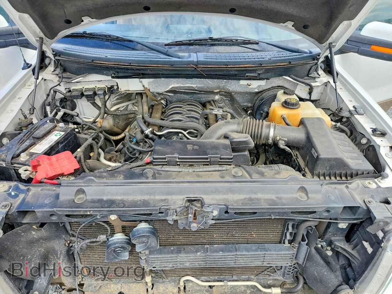 2013 FORD F150 - VIN: 1FTFW1CF3DFD00357 - Фото 11